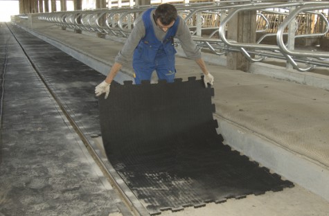 Stall Mats & Dairy Flooring